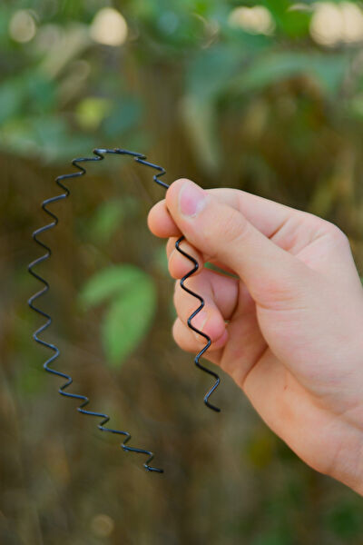 Signoraerica Kadın Taç ve Saç Bandı