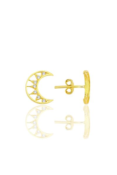 Söğütlü Silver Küpe