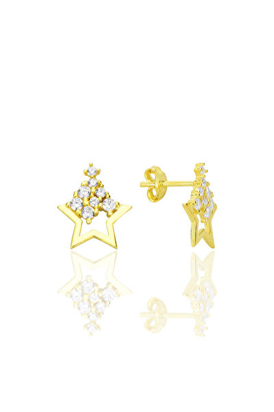 Söğütlü Silver Küpe