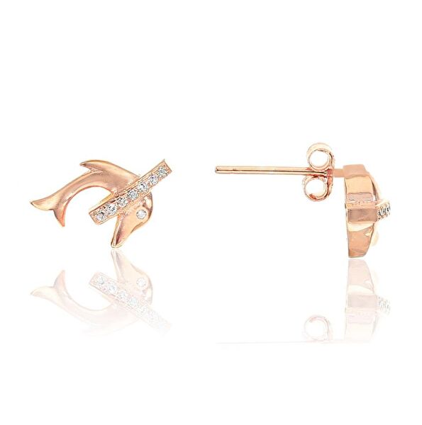 Söğütlü Silver Küpe