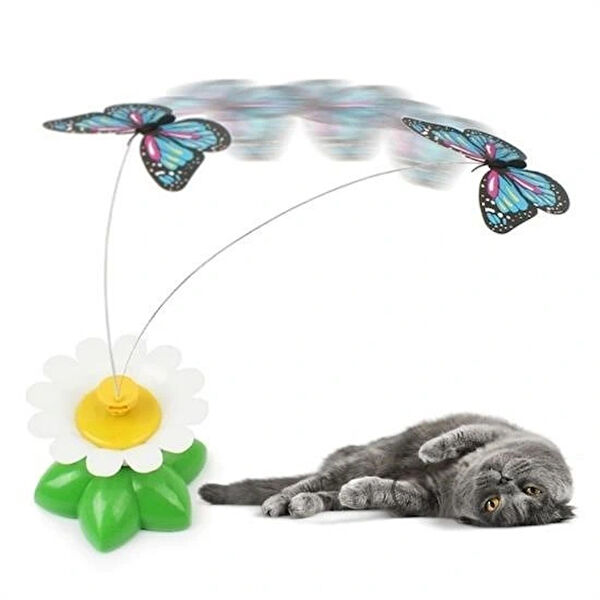 Leyloş Kedi Oyuncakları