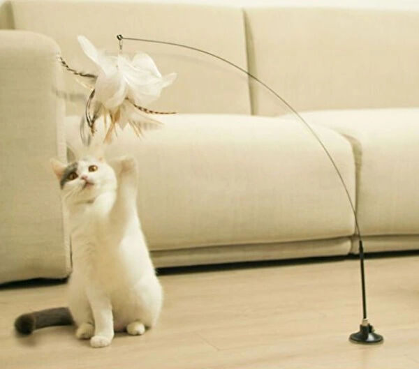 Leyloş Kedi Oyuncakları