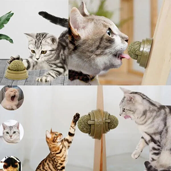 Leyloş Kedi Oyuncakları