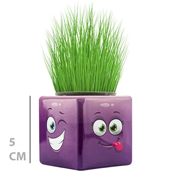 Leyloş Eğitici Oyuncaklar