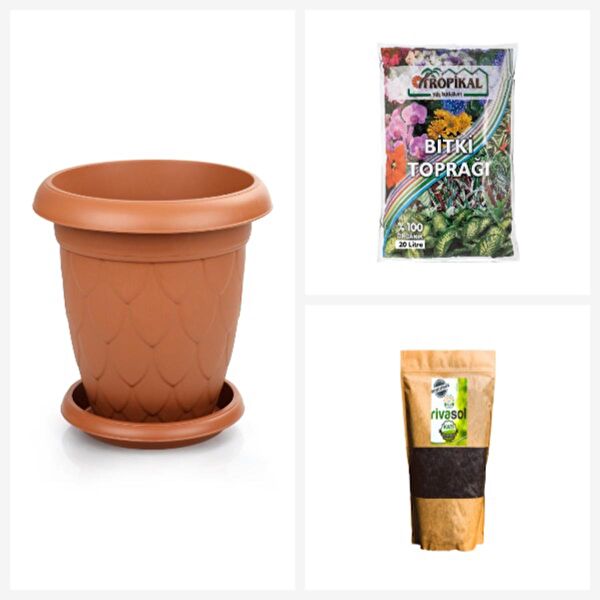 Fidan Sepetim Saksı