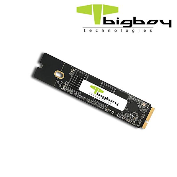 BIGBOY SSD
