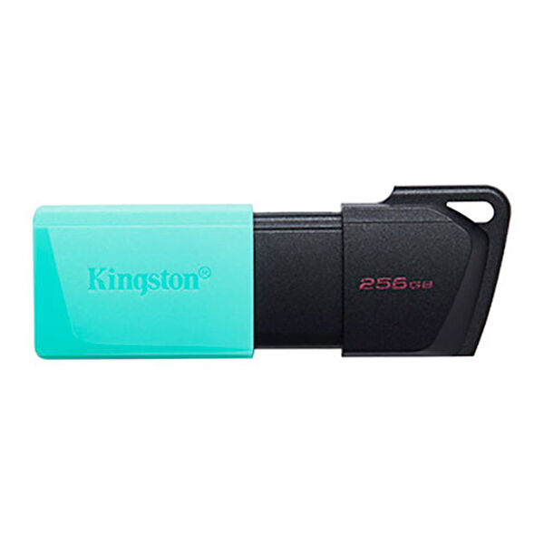 Kingston USB Flash Bellekler