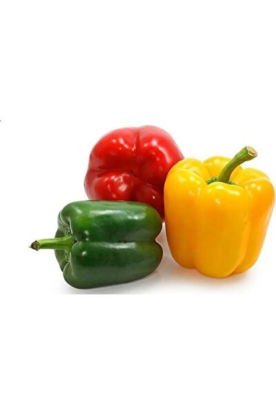 Serdar Çam Tohumculuk Tohum