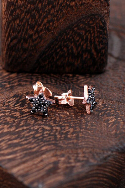 Sümer Telkari Küpe