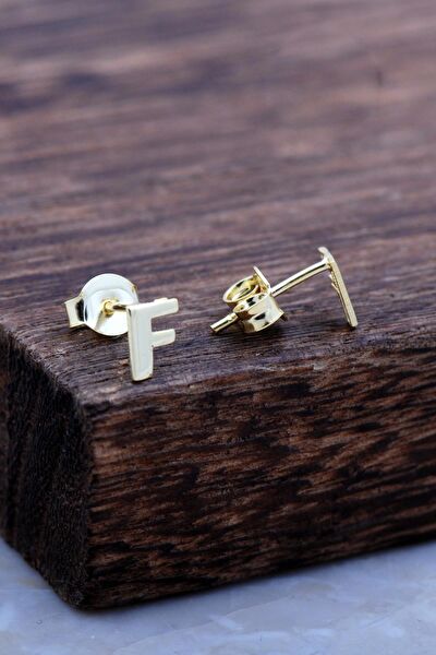 Sümer Telkari Küpe