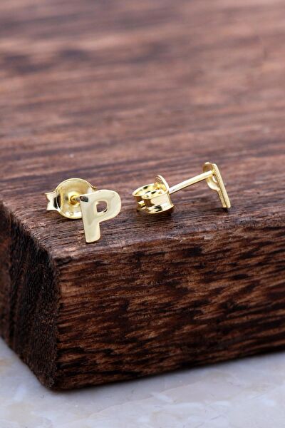 Sümer Telkari Küpe