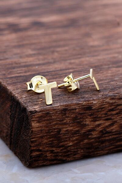 Sümer Telkari Küpe