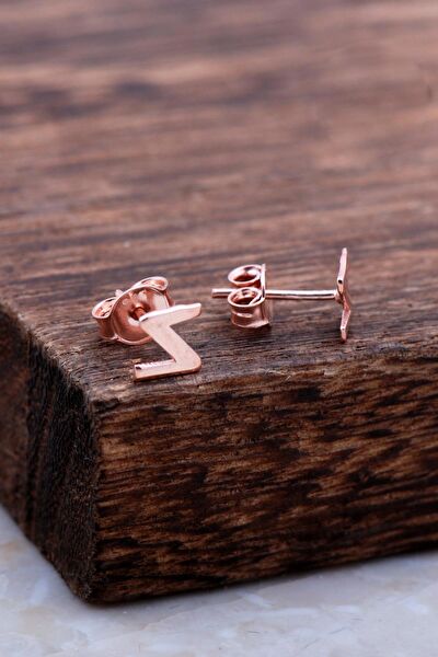 Sümer Telkari Küpe