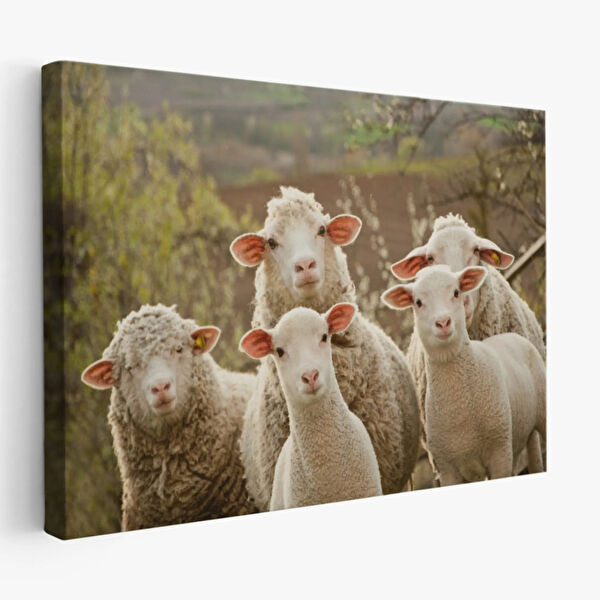 SONIKON LINE Kanvas Tablo