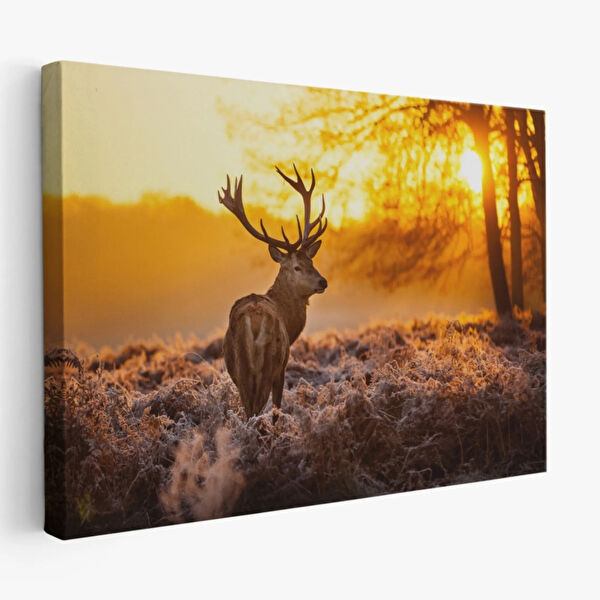 SONIKON LINE Kanvas Tablo