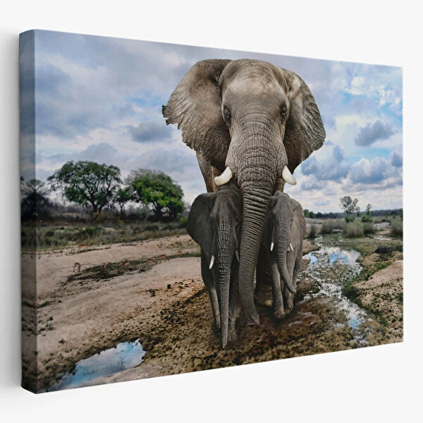 SONIKON LINE Kanvas Tablo