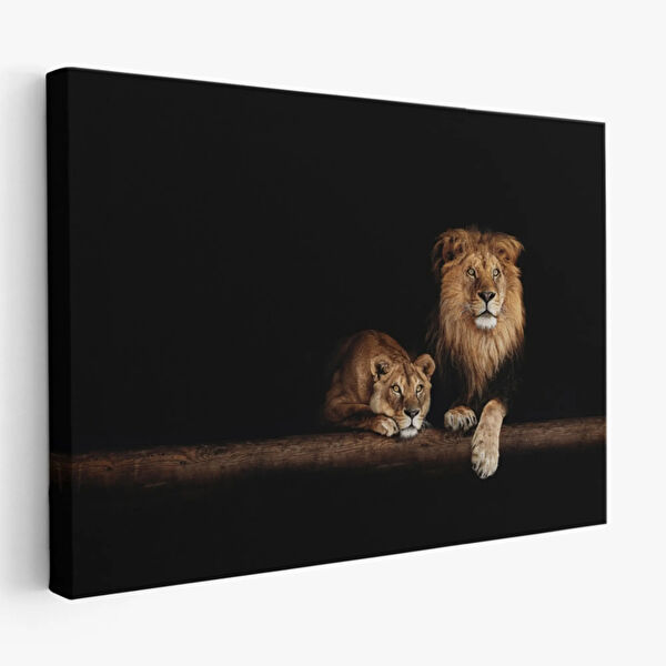 SONIKON LINE Kanvas Tablo