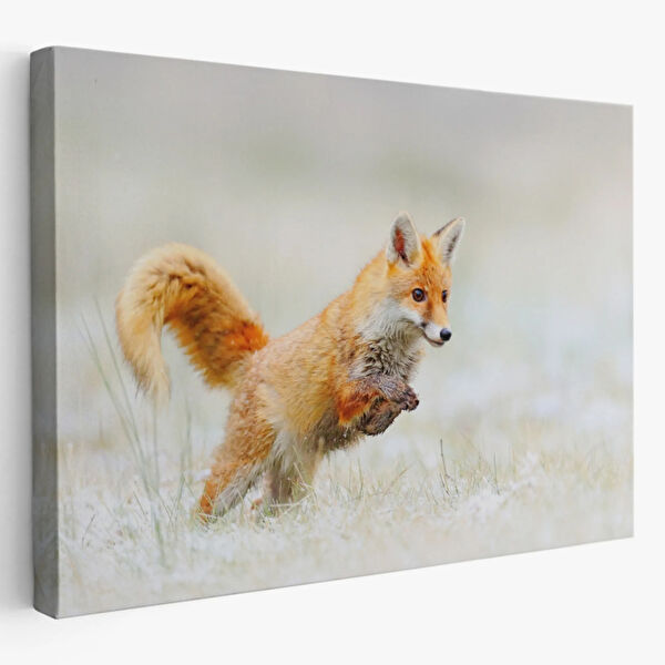 SONIKON LINE Kanvas Tablo