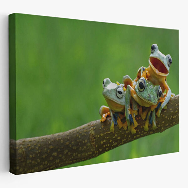 SONIKON LINE Kanvas Tablo