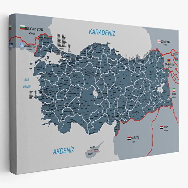 SONIKON LINE Kanvas Tablo