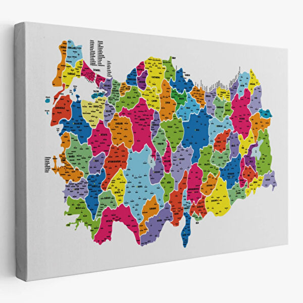 SONIKON LINE Kanvas Tablo