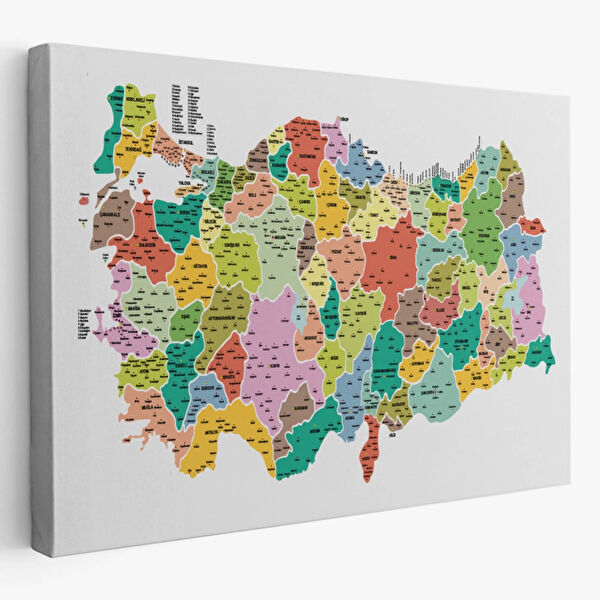 SONIKON LINE Kanvas Tablo