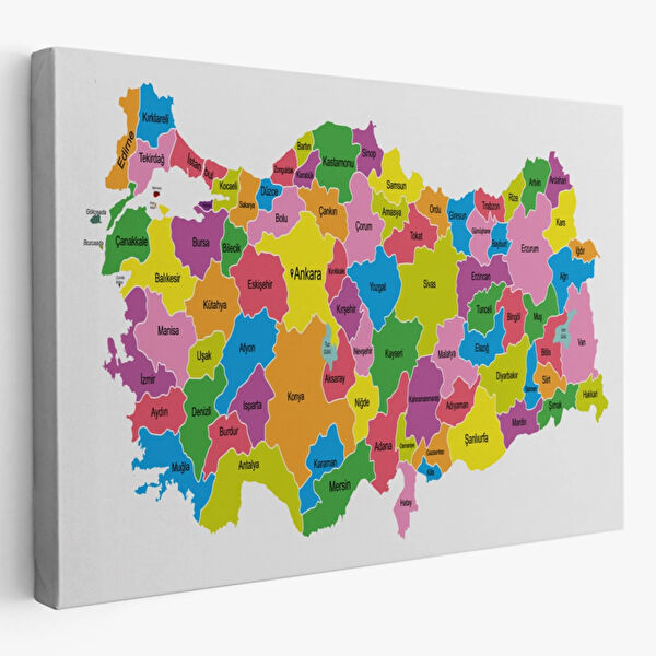 SONIKON LINE Kanvas Tablo