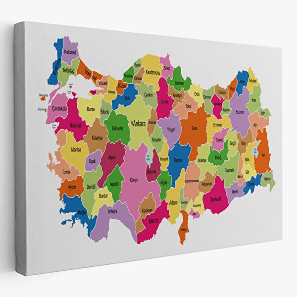 SONIKON LINE Kanvas Tablo