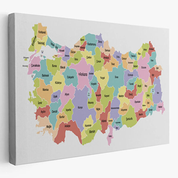 SONIKON LINE Kanvas Tablo