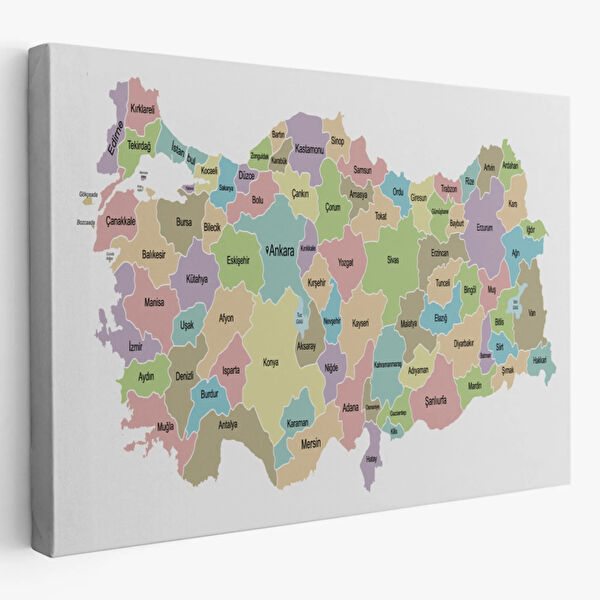 SONIKON LINE Kanvas Tablo