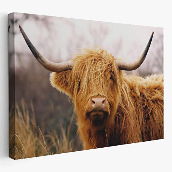 SONIKON LINE Kanvas Tablo