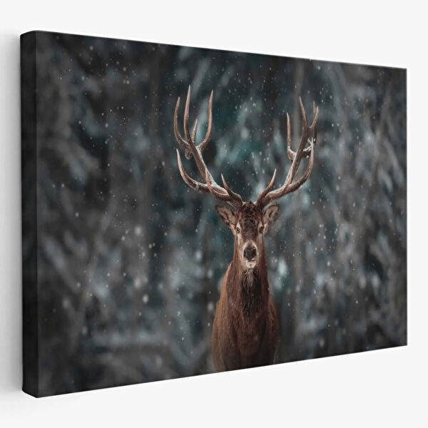 SONIKON LINE Kanvas Tablo