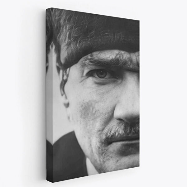 SONIKON LINE Kanvas Tablo