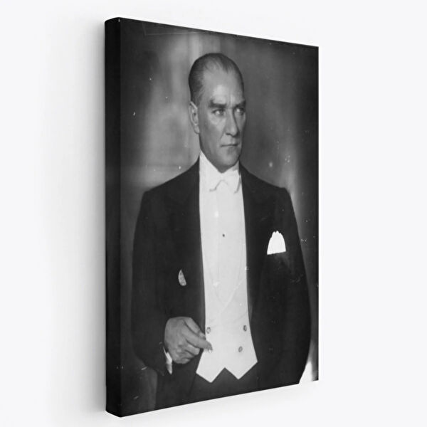 SONIKON LINE Kanvas Tablo