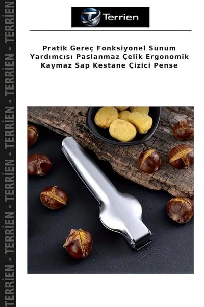 Terrien Kestane Çizici