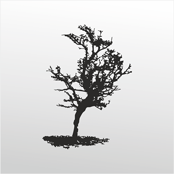 Technopa Etiket, Sticker