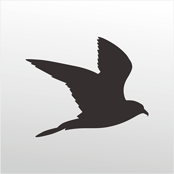 Technopa Etiket, Sticker