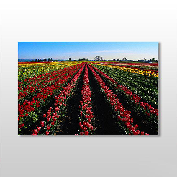 Technopa Kanvas Tablo