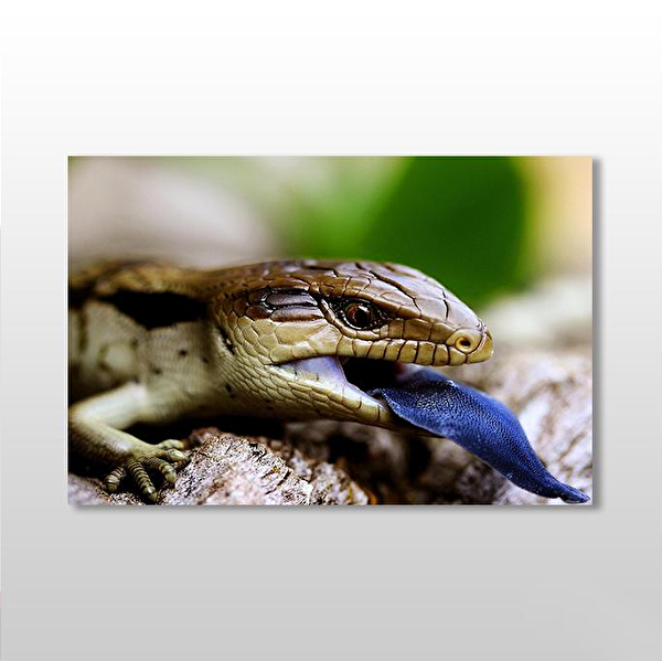 Technopa Kanvas Tablo