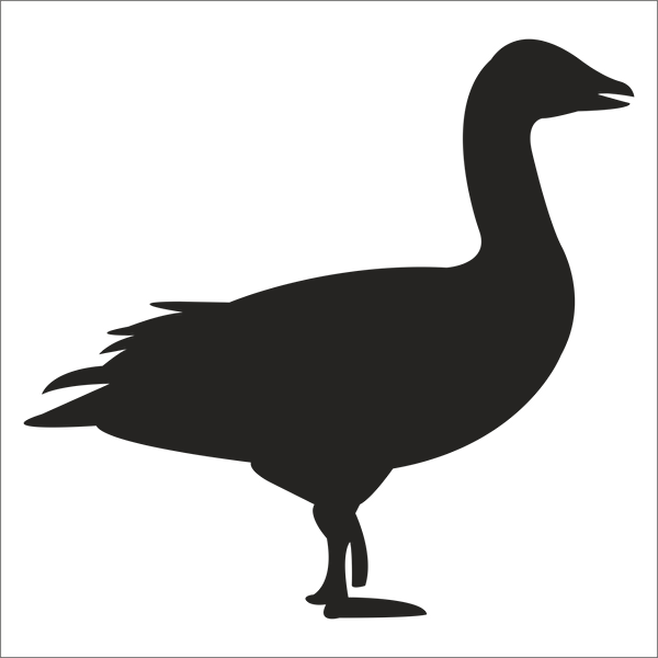 Technopa Etiket, Sticker