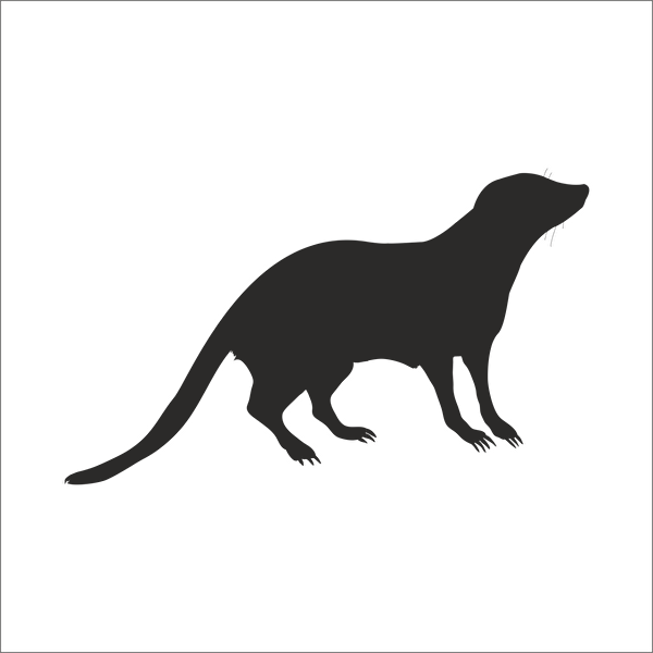 Technopa Etiket, Sticker