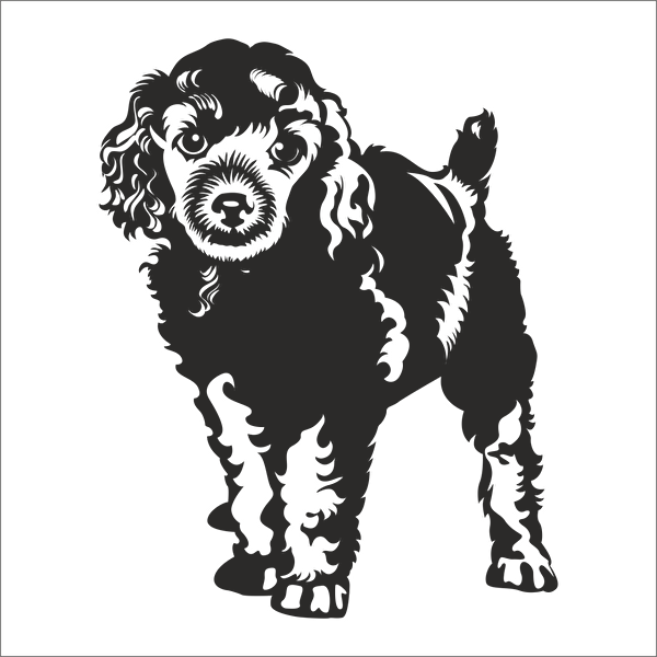 Technopa Etiket, Sticker