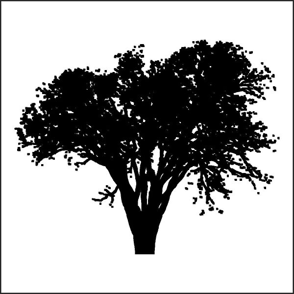 Technopa Etiket, Sticker