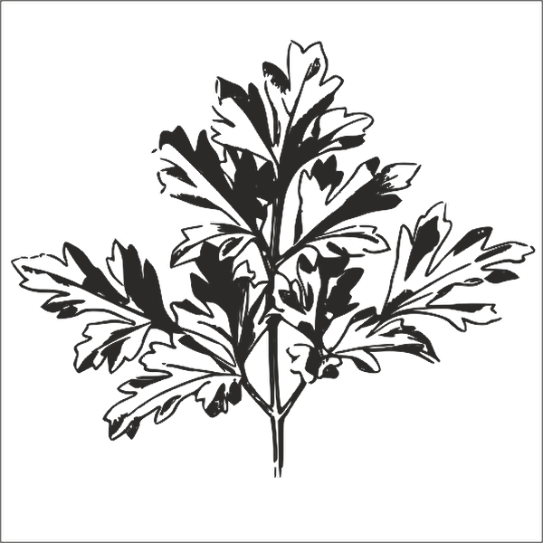 Technopa Etiket, Sticker