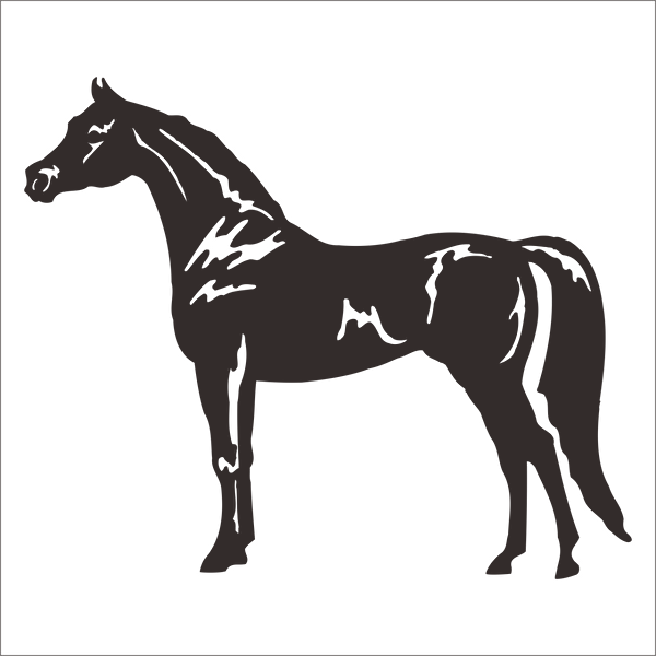 Technopa Etiket, Sticker