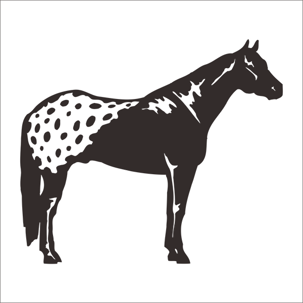 Technopa Etiket, Sticker