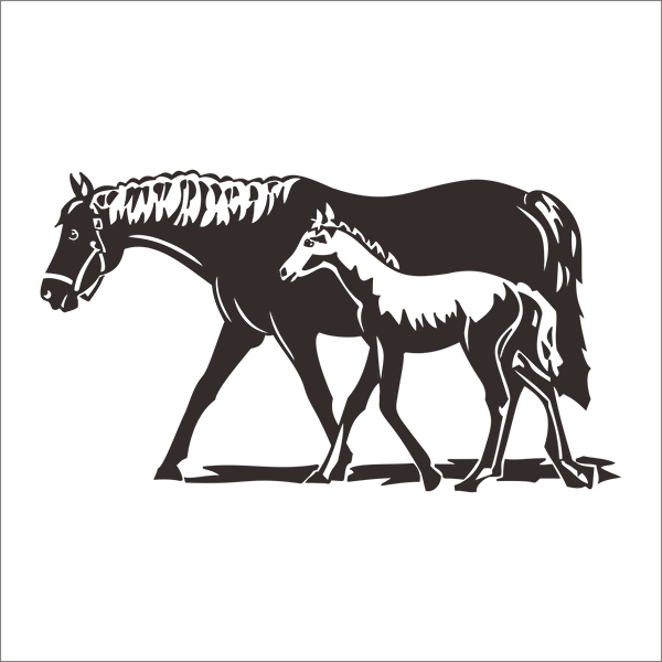 Technopa Etiket, Sticker