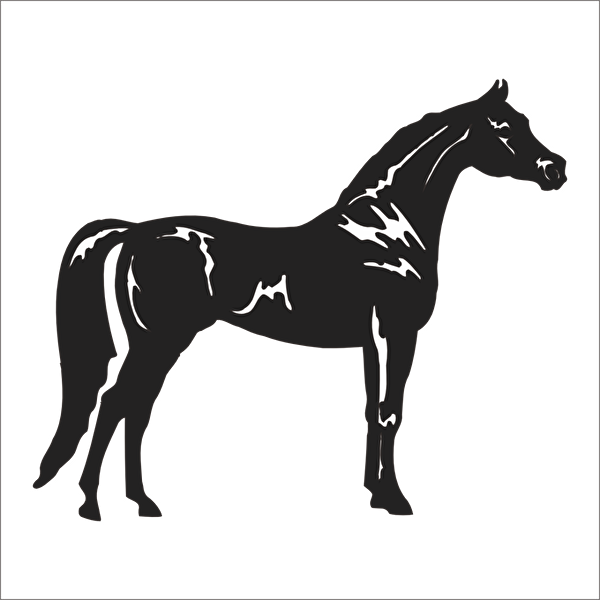 Technopa Etiket, Sticker