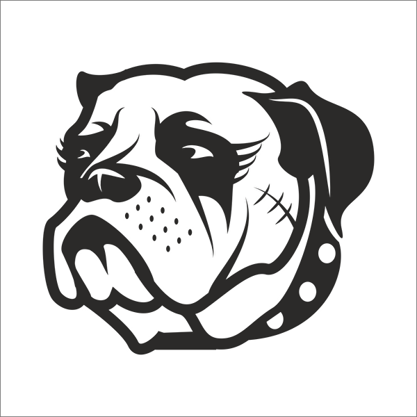 Technopa Etiket, Sticker