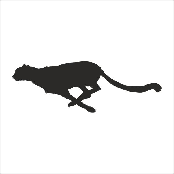 Technopa Etiket, Sticker